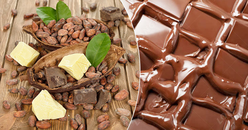 Processus De Fabrication Du Chocolat
